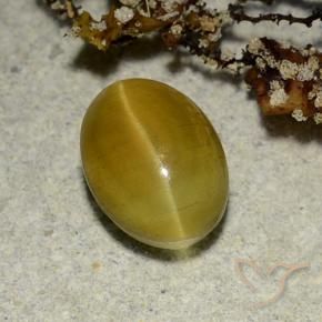 Cat's eye apatite amarillo natural de 2,68 ct, corte óvalo, translúcido