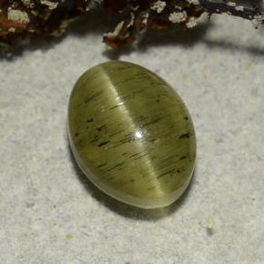 Apatita Ojo de Gato Verde medio natural de 2.73 ct, Corte Óvalo, Translúcido