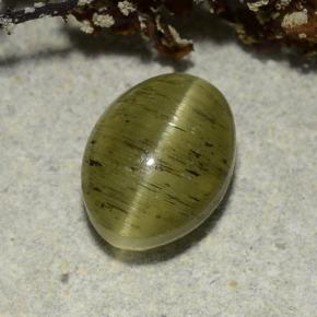 Apatita Ojo de Gato Verde medio natural de 2.73 ct, Corte Óvalo, Translúcido