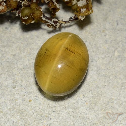2.82ct Natural Marrón amarillento Apatita Ojo de Gato, Ovalada, Translúcido