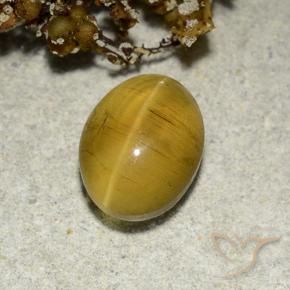 Apatita Ojo de Gato Marrón amarillento natural de 2.82 ct, Ovalada, Translúcido