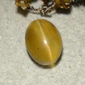 Cat's eye apatite amarillo natural de 2,57 ct, corte óvalo, translúcido