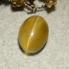 Cat's eye apatite amarillo natural de 2,57 ct, corte óvalo, translúcido