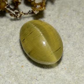 Cat's eye apatite dorado natural de 2,83 ct, corte óvalo, translúcido