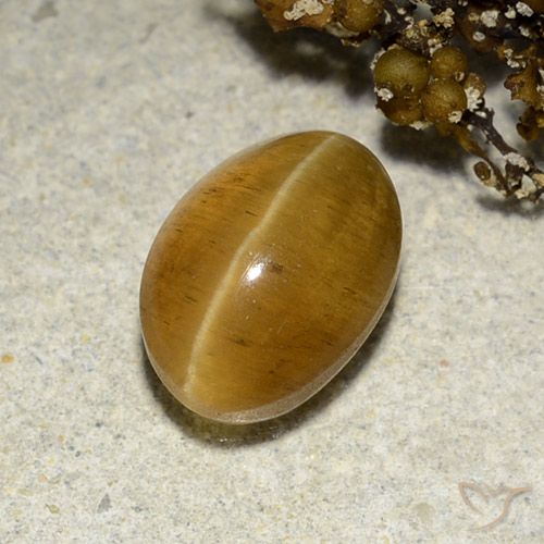 3.48ct Natural Marrón-oro Apatita Ojo de Gato, Ovalada, Translúcido