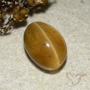Apatita Ojo de Gato Marrón-oro natural de 3.48 ct, Ovalada, Translúcido