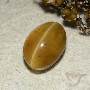 Apatita Ojo de Gato Marrón-oro natural de 3.48 ct, Ovalada, Translúcido