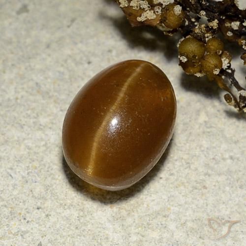 3.12ct Natural Marrón cálido Apatita Ojo de Gato, Ovalada, Translúcido