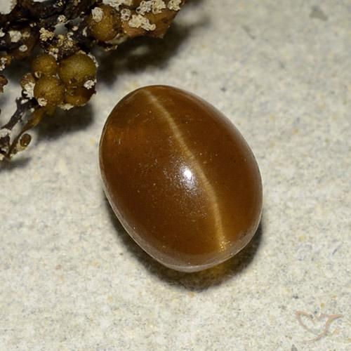 Apatita Ojo de Gato Marrón cálido natural de 3.12 ct, Ovalada, Translúcido