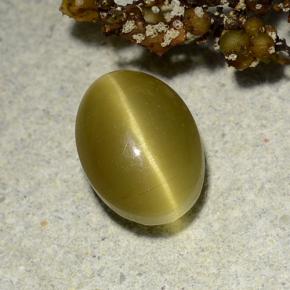 Apatita Ojo de Gato Dorado verdoso natural de 3.00 ct, Corte Óvalo, Translúcido