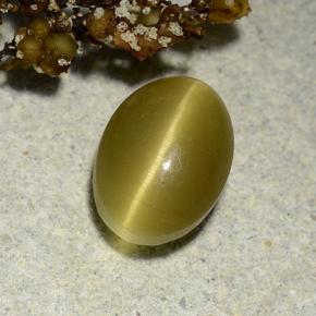 Apatita Ojo de Gato Dorado verdoso natural de 3.00 ct, Corte Óvalo, Translúcido