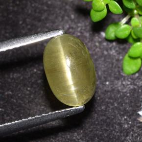 Apatita Ojo de Gato Amarillo neutral natural de 2.32 ct, Corte Óvalo, Translúcido