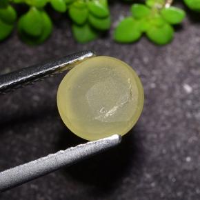 Apatita Ojo de Gato Amarillo terroso natural de 2.17 ct, Corte Redondo, Translúcido