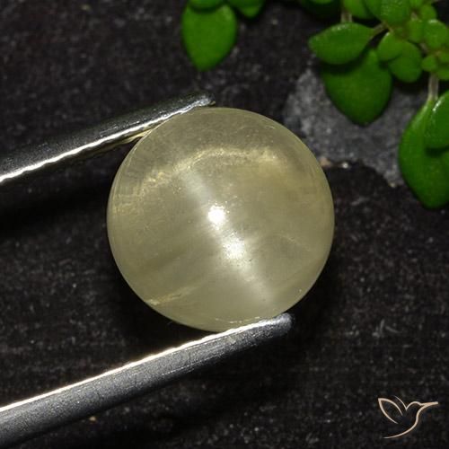 Apatita Ojo de Gato Amarillo neutral natural de 4.18 ct, Corte Redondo, Transparente