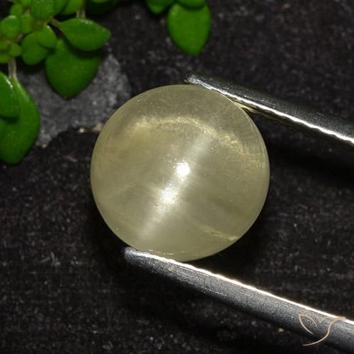 Apatita Ojo de Gato Amarillo neutral natural de 4.18 ct, Corte Redondo, Transparente