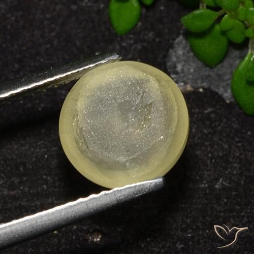 Apatita Ojo de Gato Amarillo neutral natural de 4.18 ct, Corte Redondo, Transparente