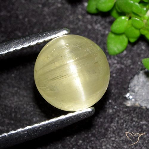 3.41ct Natural Amarillo medio Apatita Ojo de Gato, Redondo, Translúcido