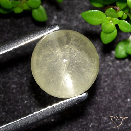 3.48ct Natural Amarillo pálido Apatita Ojo de Gato, Redondo, Transparente