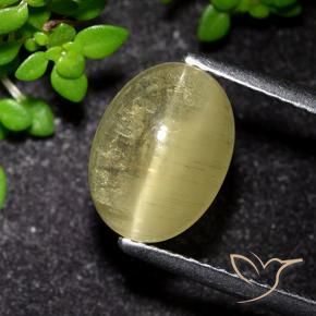 Apatita Ojo de Gato Amarillo medio natural de 3.09 ct, Ovalada, Transparente