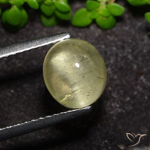 2.34ct Natural Amarillo neutral Apatita Ojo de Gato, Ovalada, Transparente
