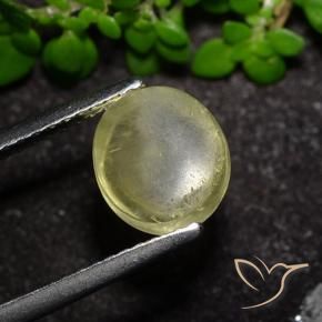 Apatita Ojo de Gato Amarillo neutral natural de 2.34 ct, Ovalada, Transparente