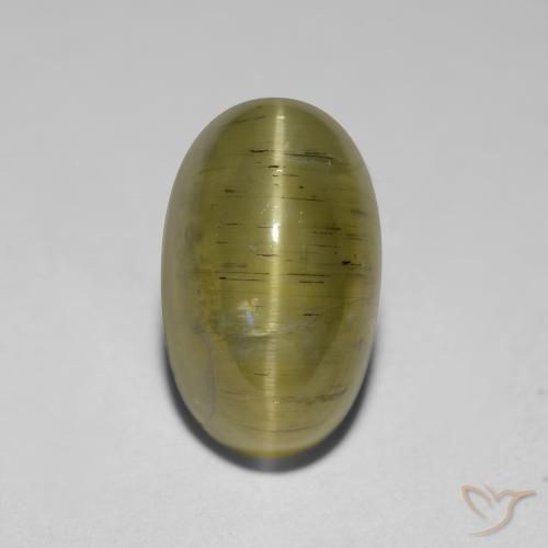2.95ct Natural Amarillo neutral Apatita Ojo de Gato, Ovalada, Translúcido