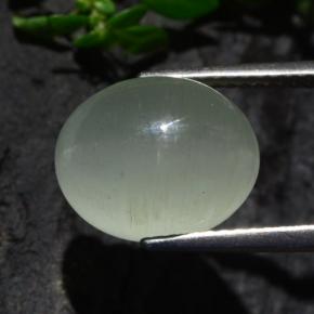 Cat's eye aquamarine verde natural de 7,13 ct, corte óvalo, translúcido