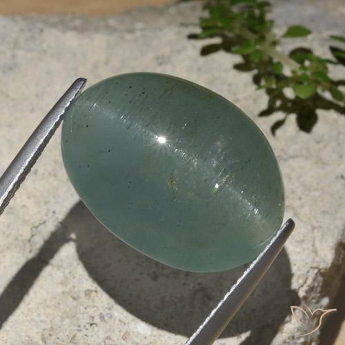 Aguamarina ojo de gato Azul verdoso claro natural de 25.89 ct, Ovalada, Translúcido