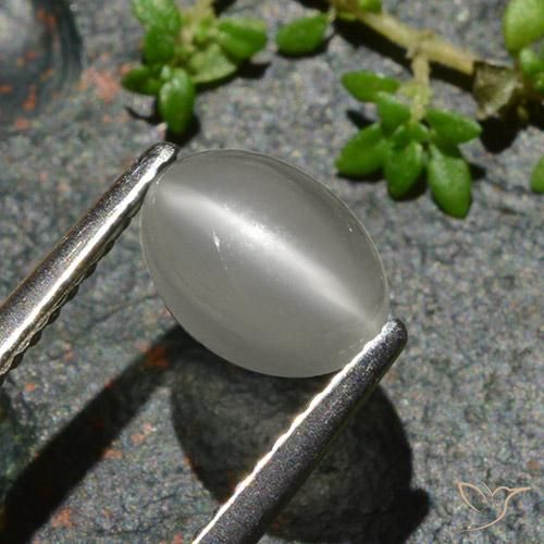 Piedra lunar ojo de gato Blanco cálido natural de 1.02 ct, Ovalada, Translúcido