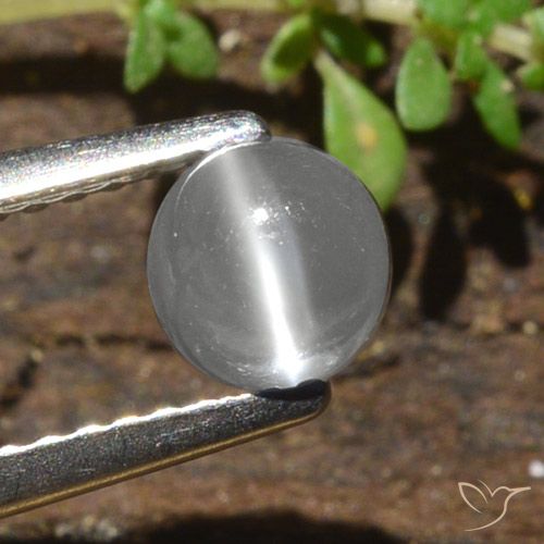 0.84ct Natural Blanco Piedra de Luna Ojo de Gato, Redondo, Translúcido