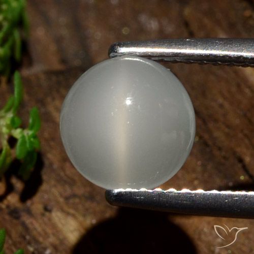 2.09ct Natural Blanco cálido Piedra lunar ojo de gato, Redondo, Translúcido