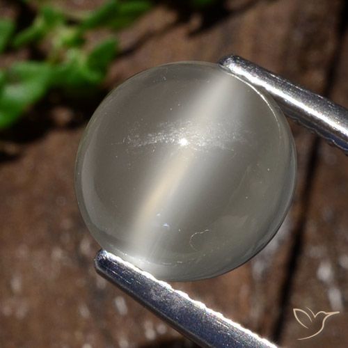 3.25ct Natural Blanco cálido Piedra lunar ojo de gato, Redondo, Translúcido