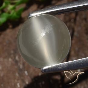 Piedra lunar ojo de gato Blanco cálido natural de 3.25 ct, Redondo, Translúcido