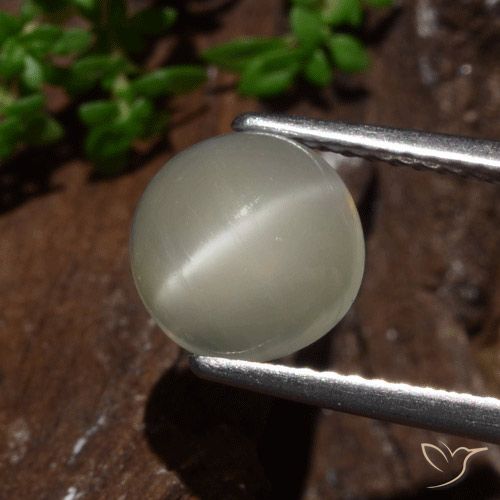 2.30ct Natural Amarillo claro Piedra lunar ojo de gato, Redondo, Translúcido