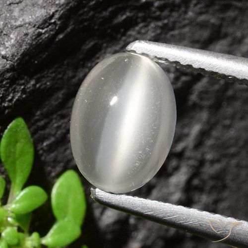 Piedra lunar ojo de gato Blanco natural de 1.94 ct, Corte Óvalo, Transparente