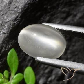 Piedra lunar ojo de gato Blanco natural de 1.94 ct, Corte Óvalo, Transparente