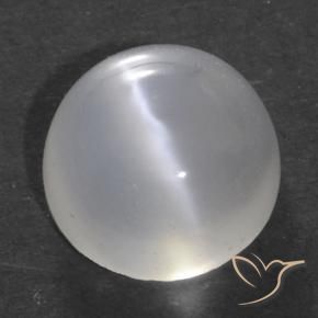 Piedra lunar ojo de gato Blanco translúcido natural de 1.52 ct, Redondo, Transparente