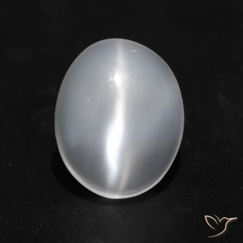 1.49ct Natural Blanco translúcido Piedra de Luna Ojo de Gato, Ovalada, Transparente
