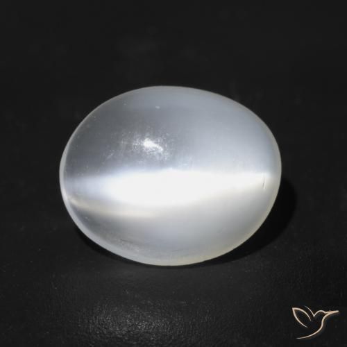 Piedra lunar ojo de gato Blanco translúcido natural de 1.49 ct, Ovalada, Transparente