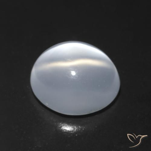Piedra lunar ojo de gato Blanco translúcido natural de 1.42 ct, Corte Óvalo, Transparente