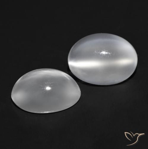 Gemas de Piedra lunar ojo de gato Blanco natural de 1.48 ct, Ovalada, Transparente