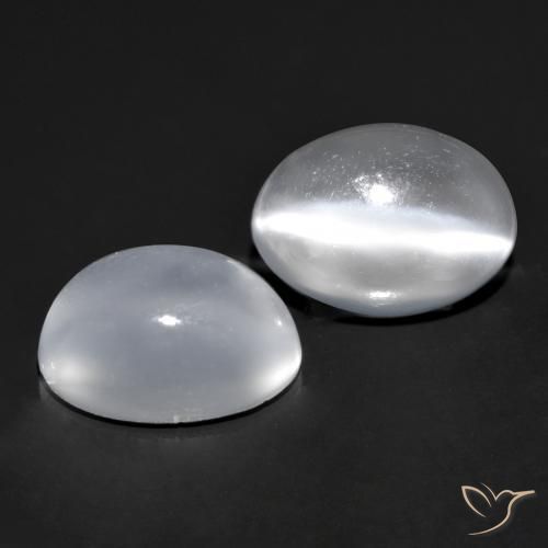 Gemas de Piedra lunar ojo de gato Blanco claro natural de 1.69 ct, Ovalada, Transparente