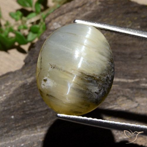 11.91ct Natural Amarillo amarronado Ópalo ojo de gato, Ovalada, Opaco