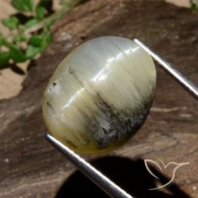 Ópalo ojo de gato Amarillo amarronado natural de 11.91 ct, Ovalada, Opaco