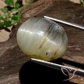Ópalo ojo de gato Amarillo amarronado natural de 11.91 ct, Ovalada, Opaco