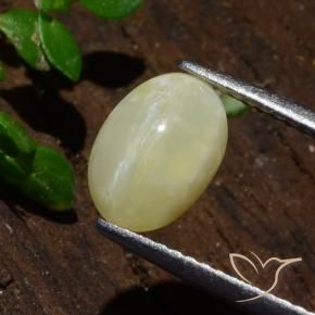 Ópalo ojo de gato Amarillo claro medio natural de 1.80 ct, Ovalada, Translúcido