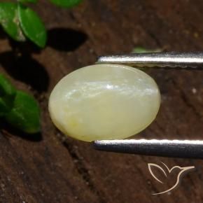 Ópalo ojo de gato Amarillo claro medio natural de 1.80 ct, Ovalada, Translúcido
