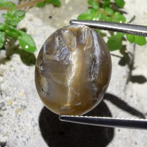Ópalo ojo de gato Marrón claro natural de 12.43 ct, Corte Óvalo, Opaco