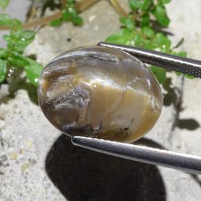 Ópalo ojo de gato Marrón claro natural de 12.43 ct, Corte Óvalo, Opaco