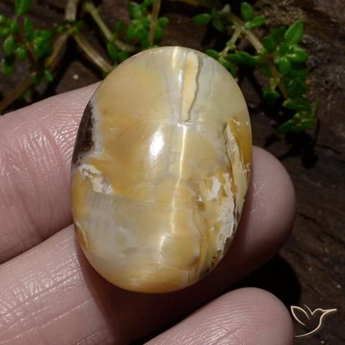 31.48ct Natural Multicolor Ópalo ojo de gato, Ovalada, Opaco